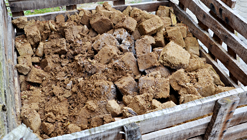 02 Recycling abc Bau M-V GmbH 2024 Aber auch alte Lehmsteine und Schutt werden wiederverwendet.